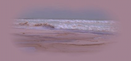 beach3pic.gif