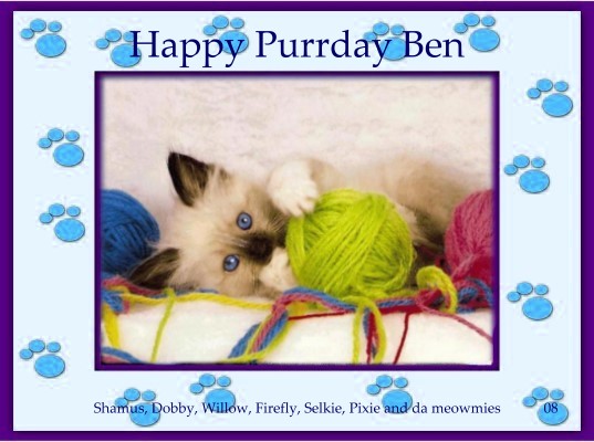 benpurrday08.jpg