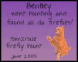 bentley_fireflyaward2005.gif