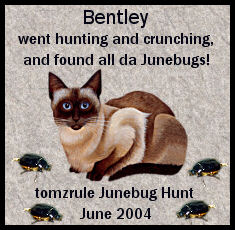 bentley_junebugaward.jpg