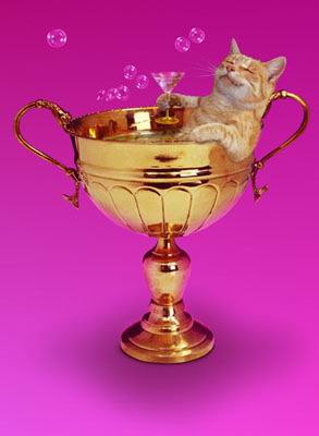 catcup.jpg