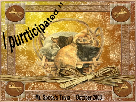 purrticipation102008.jpg