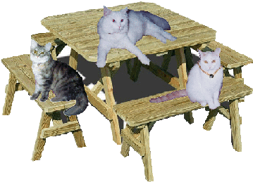 kitty-table.gif